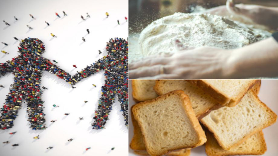 Bi̇r Di̇li̇m Ekmekte Bi̇r Dünya Sakli